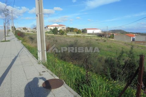 Helårsgrund i Castelo Branco, Castelo Branco, Castelo Branco - € 215.000 | Ref: PP3384 - foto 3
