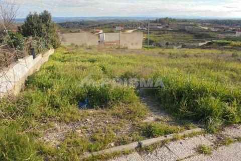 Helårsgrund i Castelo Branco, Castelo Branco, Castelo Branco - € 215.000 | Ref: PP3384 - foto 4
