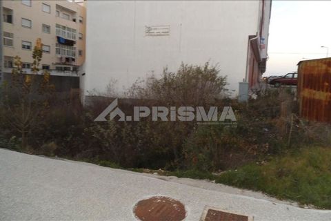 Helårsgrund i Castelo Branco, Castelo Branco, Castelo Branco - € 165.500 | Ref: PP2459/T/18 - foto 2