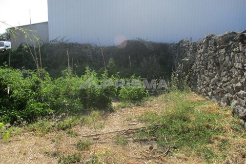 Helårsgrund i Castelo Branco, Castelo Branco, Castelo Branco - € 30.000 | Ref: PP2648/T/18 - foto 2