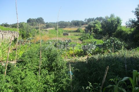 Helårsgrund i Castelo Branco, Castelo Branco, Castelo Branco - € 30.000 | Ref: PP2648/T/18 - foto 3