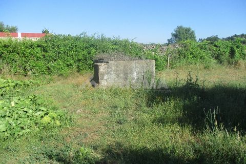 Helårsgrund i Castelo Branco, Castelo Branco, Castelo Branco - € 30.000 | Ref: PP2648/T/18 - foto 4