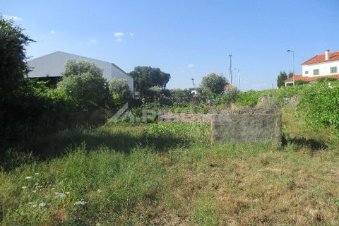 Helårsgrund i Castelo Branco, Castelo Branco, Castelo Branco - € 30.000 | Ref: PP2648/T/18 - foto 5