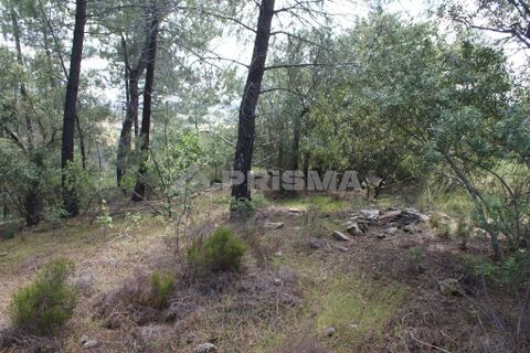 Helårsgrund i Castelo Branco, Castelo Branco, Castelo Branco - € 36.000 | Ref: PP3410 - foto 7