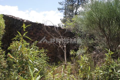 Helårsgrund i Castelo Branco, Castelo Branco, Castelo Branco - € 36.000 | Ref: PP3410 - foto 12