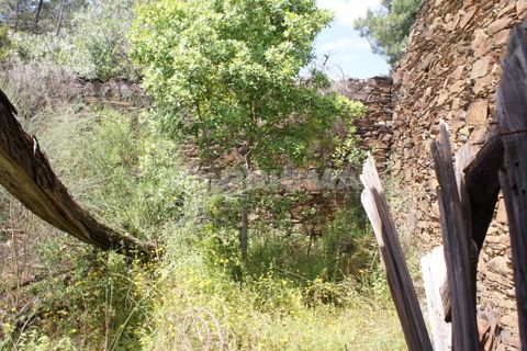Helårsgrund i Castelo Branco, Castelo Branco, Castelo Branco - € 36.000 | Ref: PP3410 - foto 14