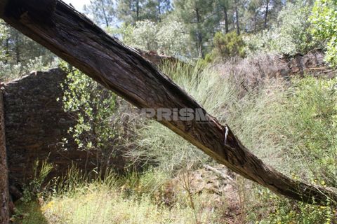 Helårsgrund i Castelo Branco, Castelo Branco, Castelo Branco - € 36.000 | Ref: PP3410 - foto 15