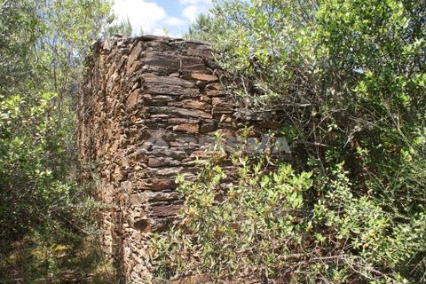 Helårsgrund i Castelo Branco, Castelo Branco, Castelo Branco - € 36.000 | Ref: PP3410 - foto 16