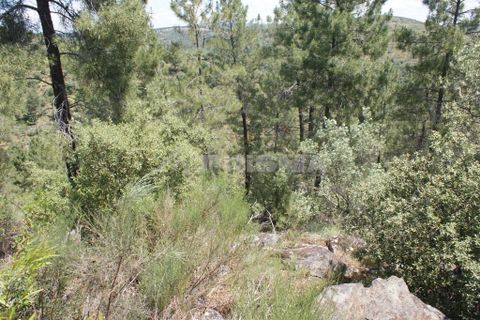 Helårsgrund i Castelo Branco, Castelo Branco, Castelo Branco - € 36.000 | Ref: PP3410 - foto 22