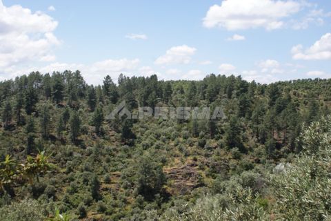 Helårsgrund i Castelo Branco, Castelo Branco, Castelo Branco - € 36.000 | Ref: PP3410 - foto 28
