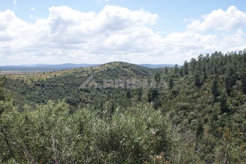 Helårsgrund i Castelo Branco, Castelo Branco, Castelo Branco - € 36.000 | Ref: PP3410 - foto 31