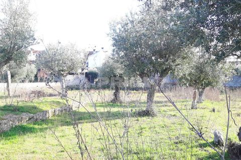 Helårsgrund i Castelo Branco, Castelo Branco, Castelo Branco - € 35.000 | Ref: PP2876/T/19 - foto 2