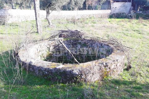 Helårsgrund i Castelo Branco, Castelo Branco, Castelo Branco - € 35.000 | Ref: PP2876/T/19 - foto 5