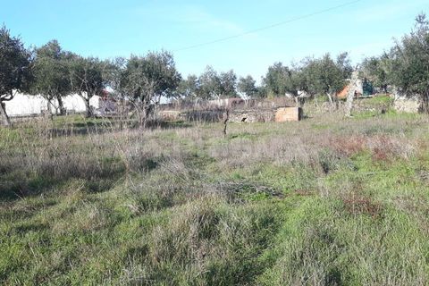 Helårsgrund i Castelo Branco, Castelo Branco, Castelo Branco - € 35.000 | Ref: PP2876/T/19 - foto 6