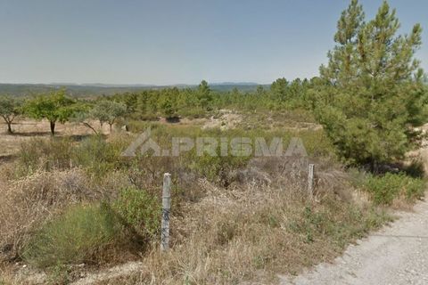 Helårsgrund i Castelo Branco, Castelo Branco, Castelo Branco - € 35.000 | Ref: PP2930/T/19 - foto 3