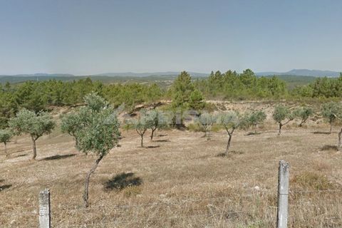 Helårsgrund i Castelo Branco, Castelo Branco, Castelo Branco - € 35.000 | Ref: PP2930/T/19 - foto 4