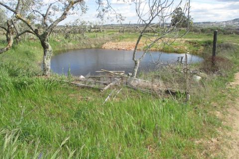 Helårsgrund i Castelo Branco, Castelo Branco, Castelo Branco - € 150.000 | Ref: PP2926/T/19 - foto 3