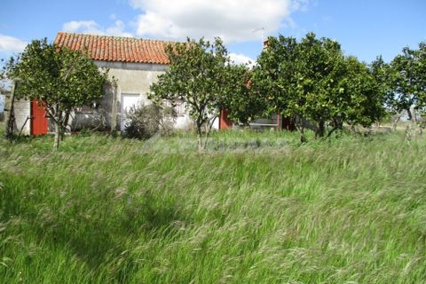 Helårsgrund i Castelo Branco, Castelo Branco, Castelo Branco - € 150.000 | Ref: PP2926/T/19 - foto 4