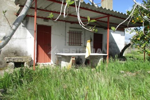 Helårsgrund i Castelo Branco, Castelo Branco, Castelo Branco - € 150.000 | Ref: PP2926/T/19 - foto 5