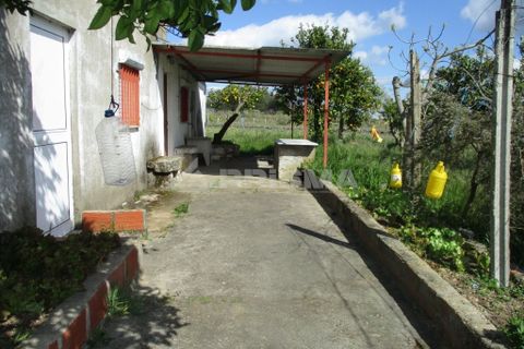 Helårsgrund i Castelo Branco, Castelo Branco, Castelo Branco - € 150.000 | Ref: PP2926/T/19 - foto 6