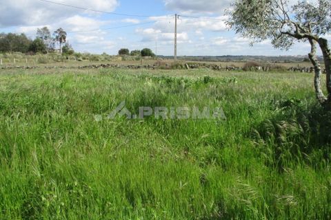 Helårsgrund i Castelo Branco, Castelo Branco, Castelo Branco - € 150.000 | Ref: PP2926/T/19 - foto 10