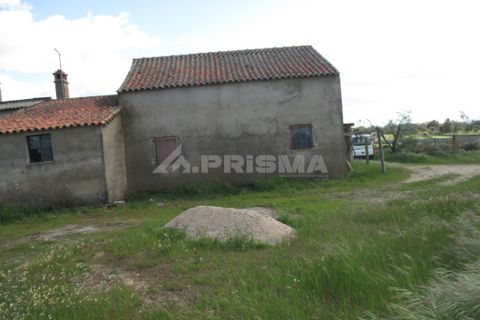 Helårsgrund i Castelo Branco, Castelo Branco, Castelo Branco - € 150.000 | Ref: PP2926/T/19 - foto 13