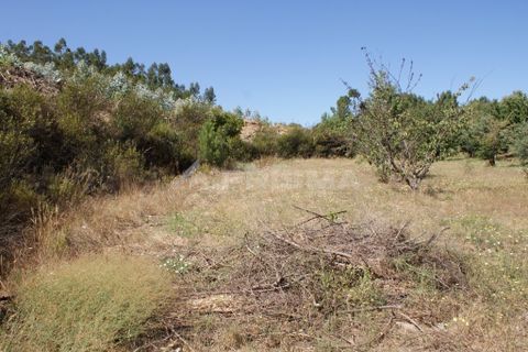 Helårsgrund i Proenca-a-Nova, Castelo Branco, Proenca-a-Nova - € 96.150 | Ref: PP2899/T/19 - foto 8