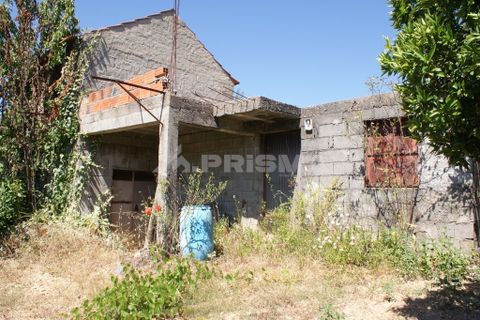 Helårsgrund i Proenca-a-Nova, Castelo Branco, Proenca-a-Nova - € 96.150 | Ref: PP2899/T/19 - foto 14