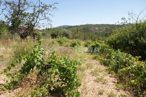 Helårsgrund i Proenca-a-Nova, Castelo Branco, Proenca-a-Nova - € 96.150 | Ref: PP2899/T/19 - foto 15