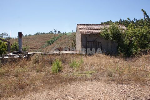 Helårsgrund i Proenca-a-Nova, Castelo Branco, Proenca-a-Nova - € 96.150 | Ref: PP2899/T/19 - foto 17