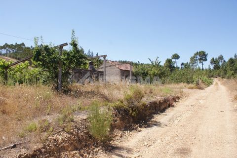 Helårsgrund i Proenca-a-Nova, Castelo Branco, Proenca-a-Nova - € 96.150 | Ref: PP2899/T/19 - foto 19