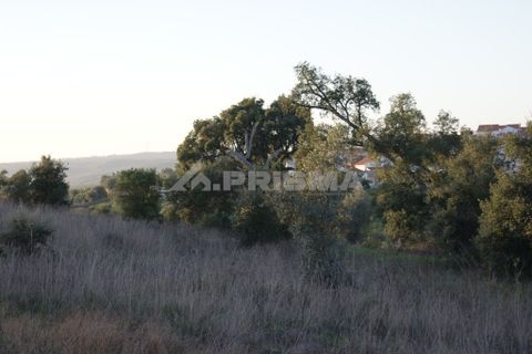 Helårsgrund i Castelo Branco, Castelo Branco, Castelo Branco - € 18.375 | Ref: PP3457 - foto 6