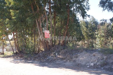 Terra a Penamacor, Castelo Branco, Penamacor - € 11.000 | Ref: PP2961 - foto 2