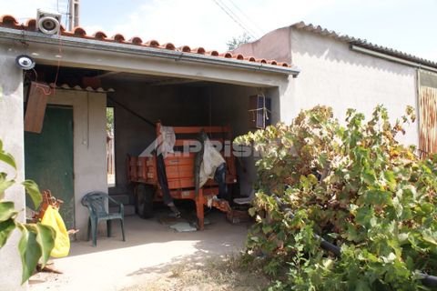 Helårsgrund i Nisa, Portalegre, Nisa - € 45.000 | Ref: PP3218 - foto 15