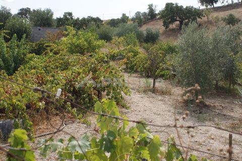 Helårsgrund i Nisa, Portalegre, Nisa - € 45.000 | Ref: PP3218 - foto 6
