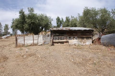 Helårsgrund i Nisa, Portalegre, Nisa - € 45.000 | Ref: PP3218 - foto 10