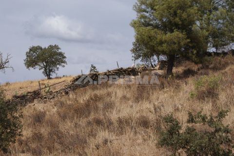 Helårsgrund i Nisa, Portalegre, Nisa - € 45.000 | Ref: PP3218 - foto 11