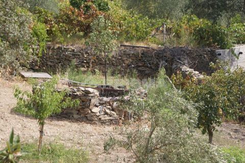 Helårsgrund i Nisa, Portalegre, Nisa - € 45.000 | Ref: PP3218 - foto 5