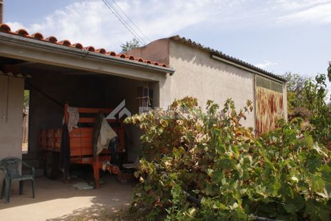Helårsgrund i Nisa, Portalegre, Nisa - € 45.000 | Ref: PP3218 - foto 16