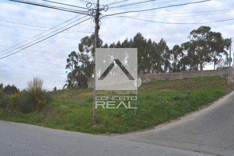 Helårsgrund i Valongo, Porto, Valongo - € 550.000 | Ref: CR2641 - foto 6