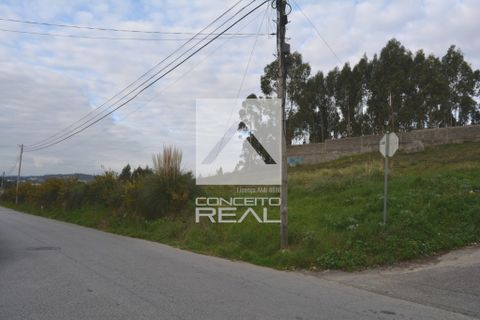 Helårsgrund i Valongo, Porto, Valongo - € 550.000 | Ref: CR2641 - foto 5