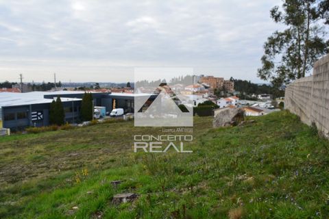 Helårsgrund i Valongo, Porto, Valongo - € 550.000 | Ref: CR2641 - foto 8