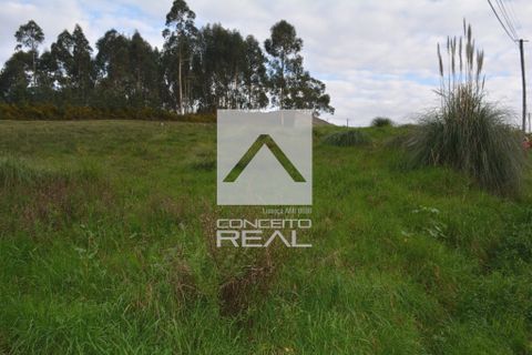 Helårsgrund i Valongo, Porto, Valongo - € 550.000 | Ref: CR2641 - foto 3