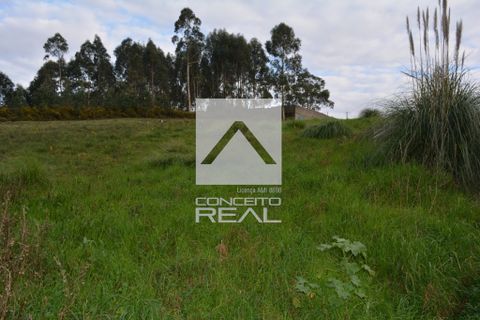Helårsgrund i Valongo, Porto, Valongo - € 550.000 | Ref: CR2641 - foto 9