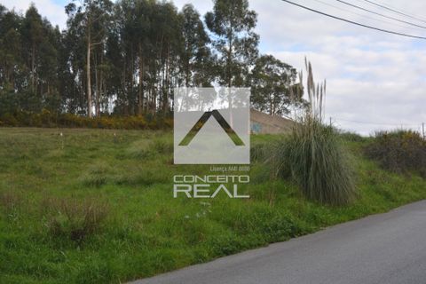 Helårsgrund i Valongo, Porto, Valongo - € 550.000 | Ref: CR2641 - foto 4