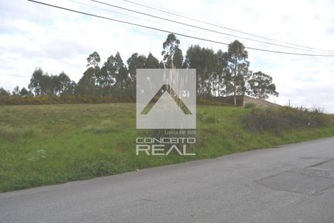 Helårsgrund i Valongo, Porto, Valongo - € 550.000 | Ref: CR2641 - foto 7