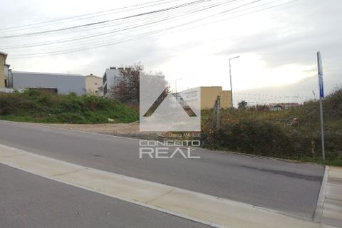 Helårsgrund i Valongo, Porto, Valongo - € 1.100.000 | Ref: CR2543 - foto 5