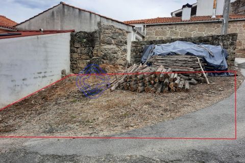 Terra a Santa Comba Dao, Viseu, Santa Comba Dao - € 25.000 | Ref: 131041 - foto 2
