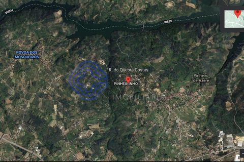 Terra a Santa Comba Dao, Viseu, Santa Comba Dao - € 25.000 | Ref: 131041 - foto 6