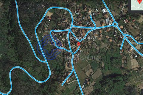 Terra a Santa Comba Dao, Viseu, Santa Comba Dao - € 25.000 | Ref: 131041 - foto 9